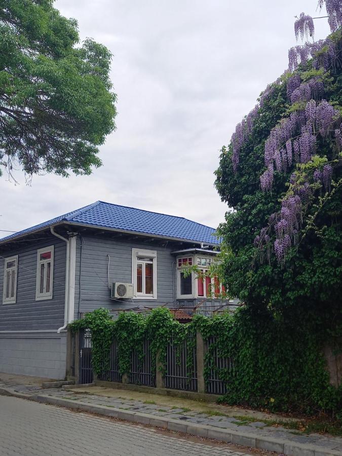 Casa De Vacanta Rodica Sulina Exteriér fotografie