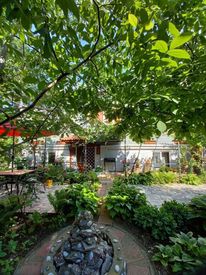 Casa De Vacanta Rodica Sulina Exteriér fotografie